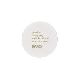 Evo |  Cassius Styling Clay 15g