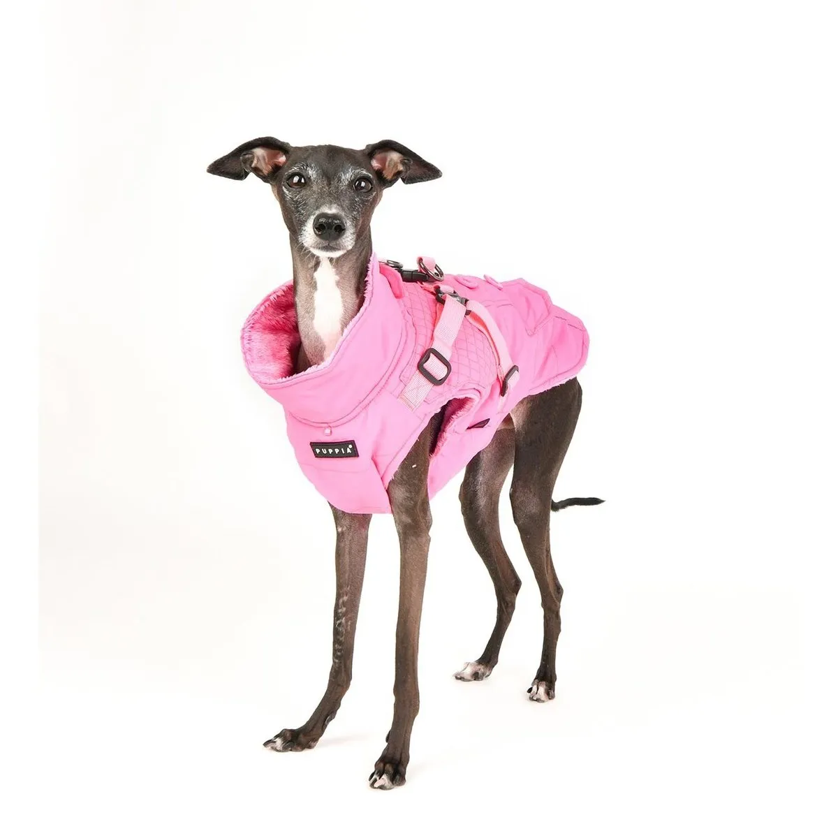 Wilkes Dog Coat
